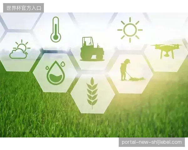 2027年起赛事内容的精细化运营将演变为体育产业的核心竞争门槛